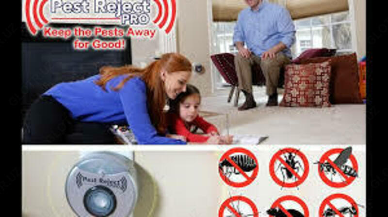Ultrasonik hasharotlar va kemiruvchilarga qarshi vosita Pest Reject Pro Шукуруллаев Шерзод