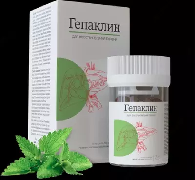 Препарат Гепаклин для очищения и восстановления печени - LILSHOP.UZ