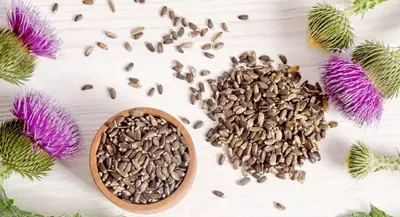 Proofasha kapsulalari (urug'lar) - 135 000 so'm / dona