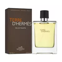 Туалетная вода для мужчин Hermès Terre dHermès  100 мл. (Копия-А) Турция