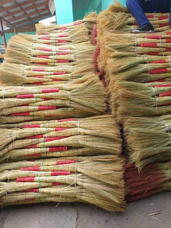 Веники сорго