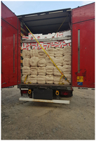 Холстопрошивное полотно х/б ООО "SAFOTEKS"