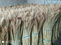 от {0} сум sorgum süpürgesi