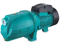 Leo AJm150L suv nasosi