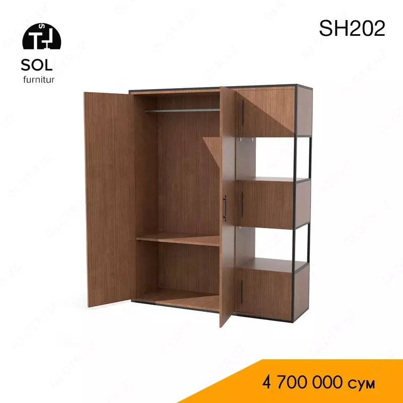 Шкаф одежный SH202