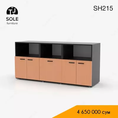 Sh215 ofis kombinatsiyalangan shkafi