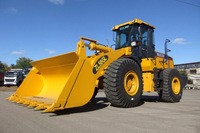 Old yuklovchi XCMG ZL50GN