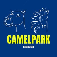 Camel milk and mare's milk in Tashkent!