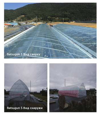 Многофункционльная пленка Batsugun 5