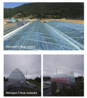 Многофункционльная пленка Batsugun 5