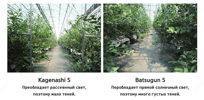 по запросу Полиолефиновая пленка Kagenashi 5