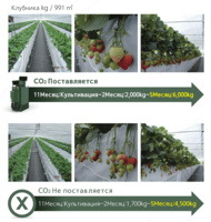 Fotosintez tezlashtiruvchisi Grow Air Chakana savdo