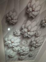 Stretch shiftlari № 7