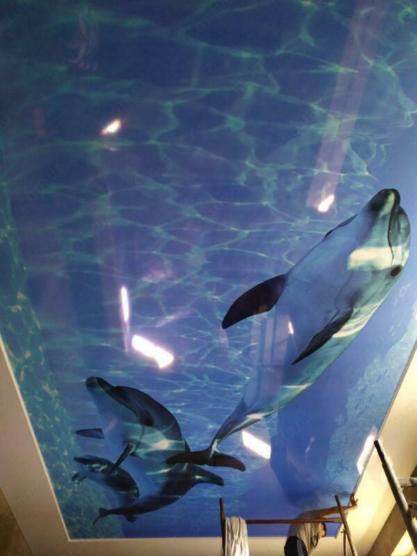 Stretch shiftlari № 7