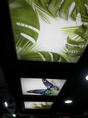 Stretch shiftlari № 20 - Narx so&#039;rov asosida