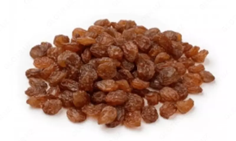 Mayiz jigarrang "Maloyar"