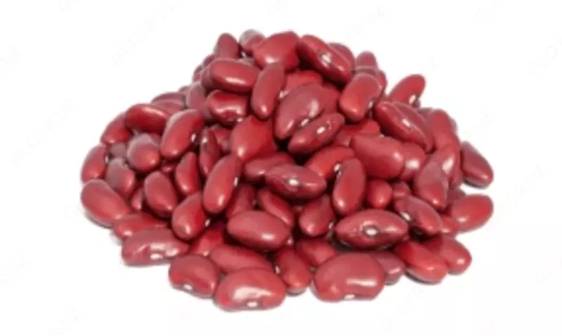 Фасоль королевская