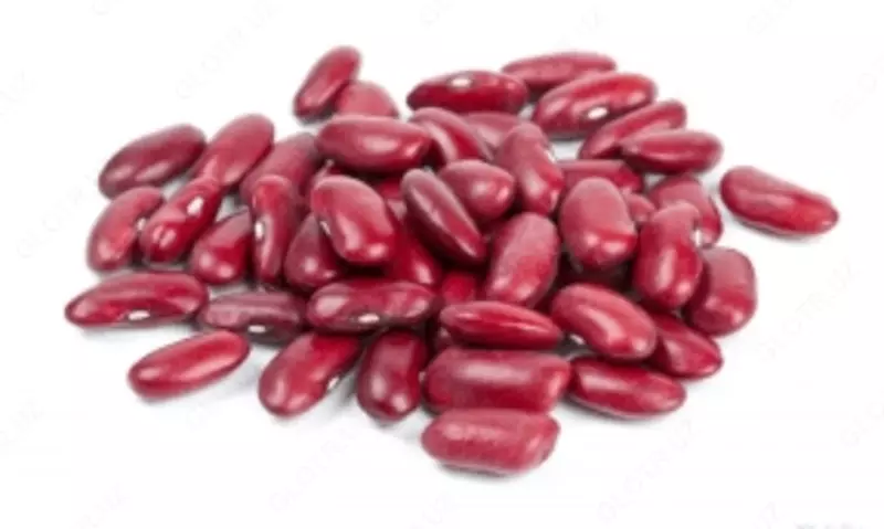  Loviya super Royal - 