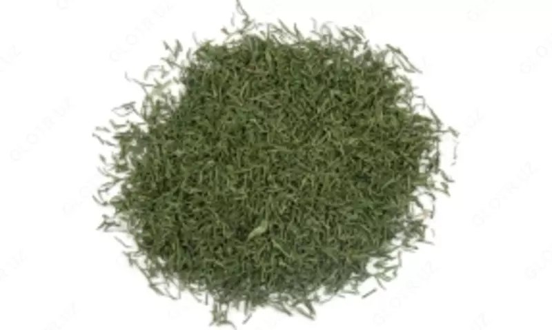 Quritilgan arpabodiyon