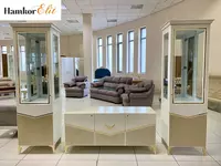 Viola mehmonxona to’plami