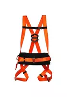 Ремень безопасности парашютного типа с поясничной опорой