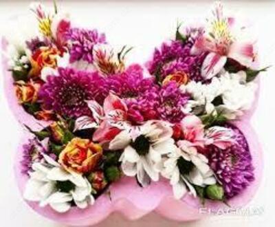 Подарочная коробка (ПЕНОБОКС) Бабочка Подарочная коробка (ПЕНОБОКС) Бабочка