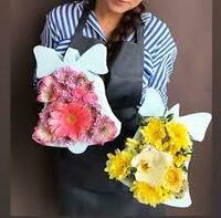 Sovg'a qutisi (PENOBOX) BELL Ulgurji va chakana