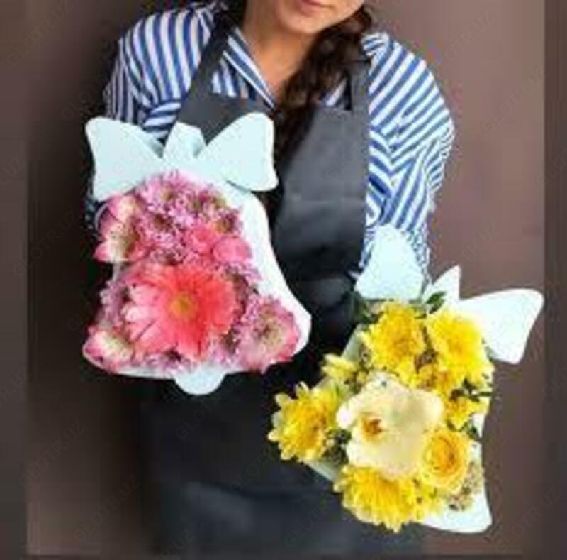 Sovg'a qutisi (PENOBOX) BELL Ulgurji va chakana