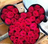 Sovg'a qutisi (PENOBOX) Mickey Mouse VAVCO MACHINERY