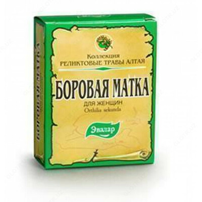 "Боровая матка" трава