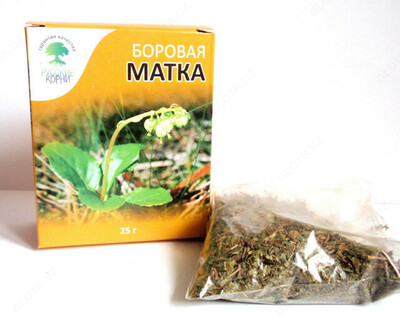 "Боровая матка" трава