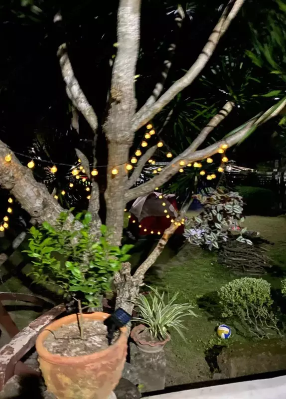 Гирлянда на солнечной батарее