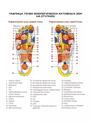 Оригинальный EMS массажер для ног с ПУЛЬТОМ Оригинальный EMS массажер для ног с ПУЛЬТОМ