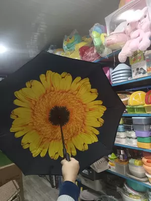 Зонт с двойным куполом и двойной ручкой