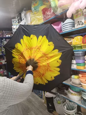 Зонт с двойным куполом и двойной ручкой