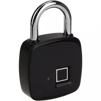 Электронный биометрический навесной замок