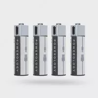 Аккумуляторная батарея Powerology USB-AA