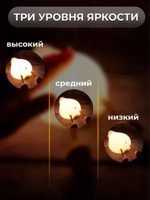 который полностью безопасен для з