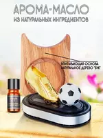 Ароматизатор в машину вонючка футбольный мяч  подарок - ЯТТ "Домашний Уголок"