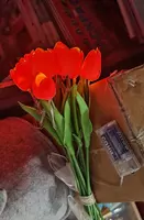  Искусственные тюльпаны с подсветкой Battery  - Домашний Уголок