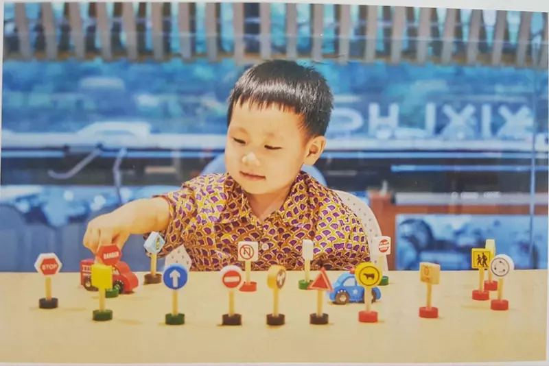 Набор деревянных дорожных знаков.