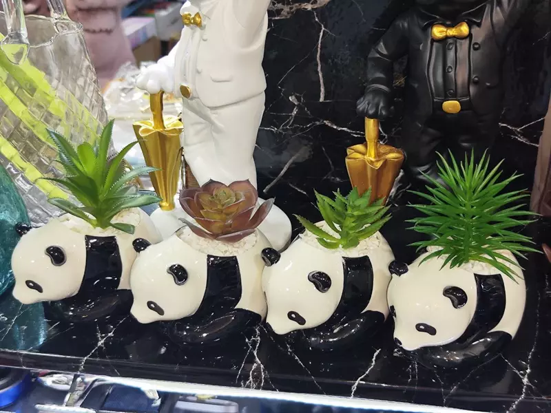 Декоративные суккуленты в горшочках - Панда - подарочный горшочек для цветов.