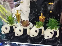 Декоративные суккуленты в горшочках - Панда - подарочный горшочек для цветов.