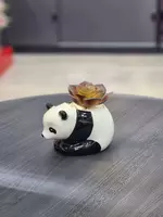 Декоративные суккуленты в горшочках - Панда - подарочный горшочек для цветов. ЯТТ "Домашний Уголок"