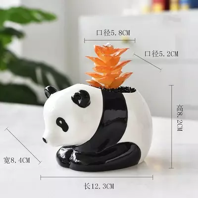 Декоративные суккуленты в горшочках - Панда - подарочный горшочек для цветов. - 70 000 сум / шт.