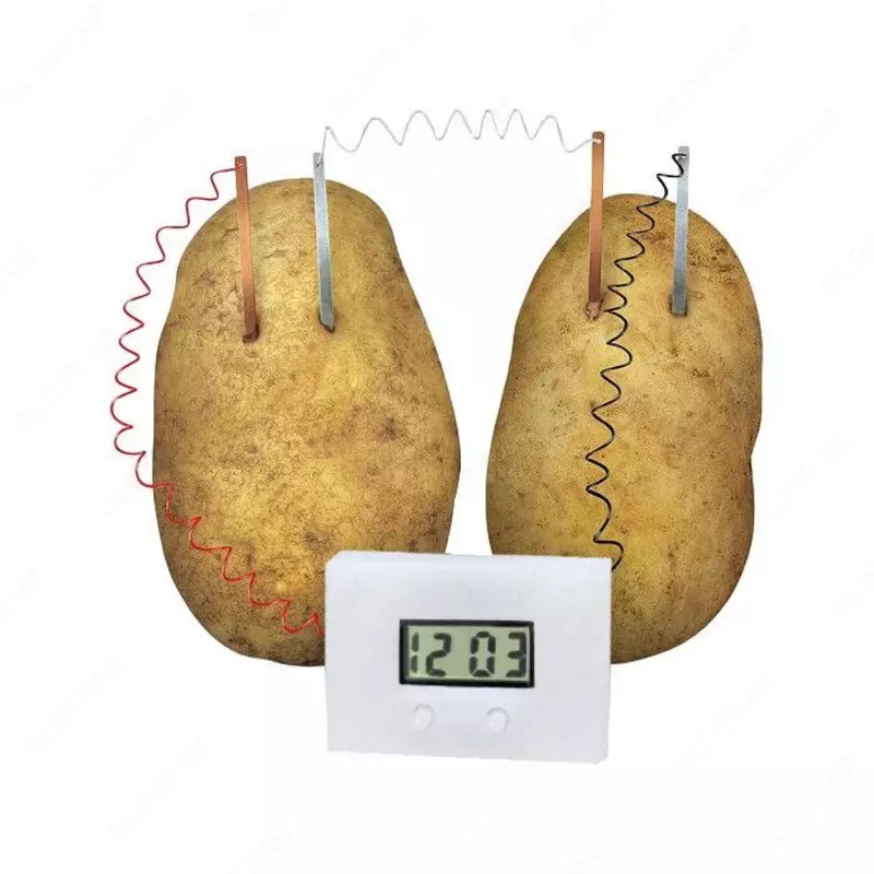 Научно-познавательный набор для юных ученых "Картофельные часы."