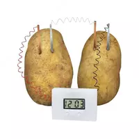 Научно-познавательный набор для юных ученых "Картофельные часы."