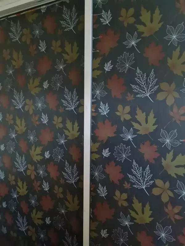 Матирующая пленка на окна. (60х500)