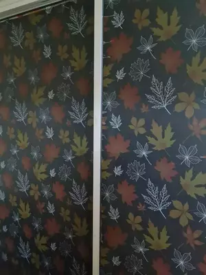 Матирующая пленка на окна. (60х500) - 150 000 сум / шт.