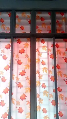 Матирующая пленка на окна. (60х500) Только в розницу